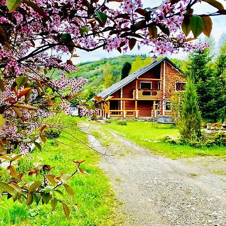 Mysynevyr - будинок у серці карпат *