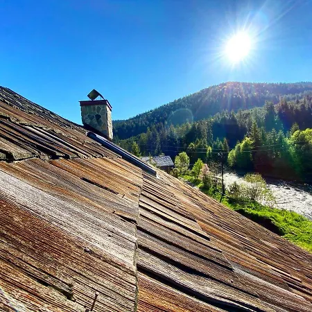 Mysynevyr - будинок у серці карпат *