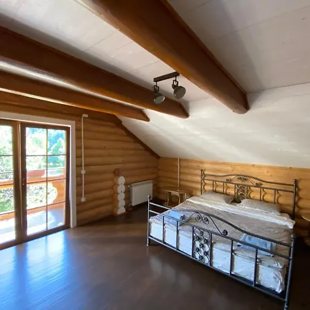 Mysynevyr - будинок у серці карпат * Synevyr