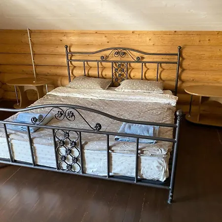 Holiday home Mysynevyr - будинок у серці карпат