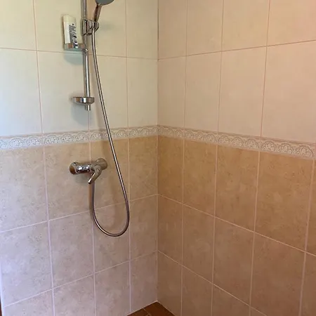 Mysynevyr - будинок у серці карпат Holiday home