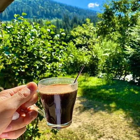 Mysynevyr - будинок у серці карпат Синевир