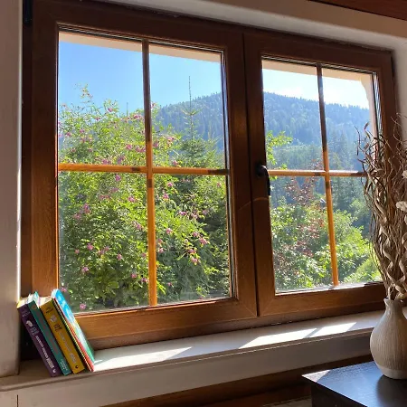 Mysynevyr - будинок у серці карпат Дом отдыха