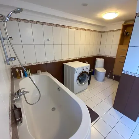 Mysynevyr - будинок у серці карпат