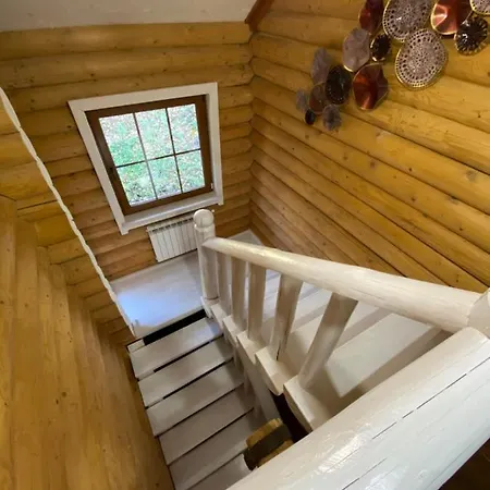 Mysynevyr - будинок у серці карпат *