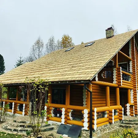 Mysynevyr - будинок у серці карпат Holiday home