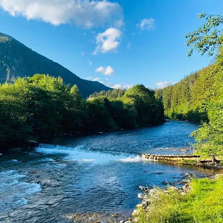 Mysynevyr - будинок у серці карпат