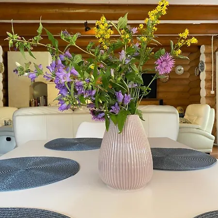 Mysynevyr - будинок у серці карпат シネヴィル