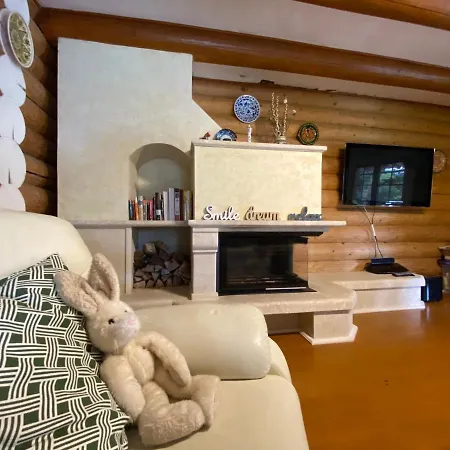 Mysynevyr - будинок у серці карпат 別荘