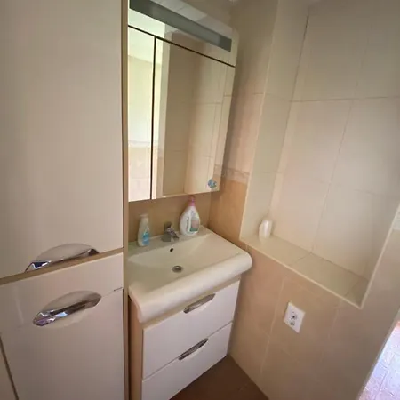 Mysynevyr - будинок у серці карпат シネヴィル