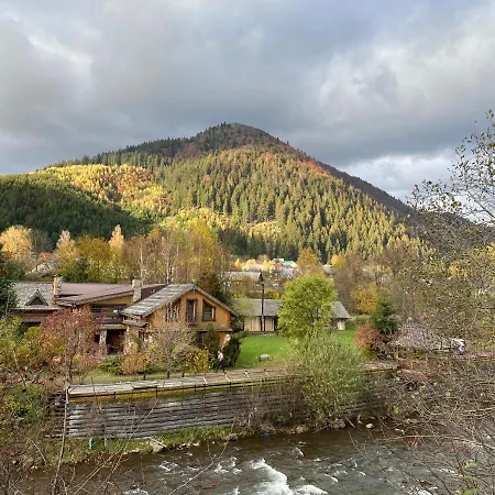 Mysynevyr - будинок у серці карпат 別荘 シネヴィル